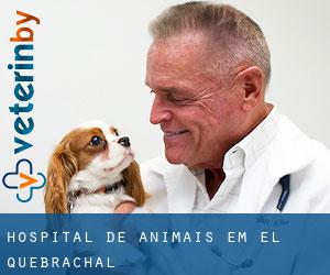 Hospital de animais em El Quebrachal