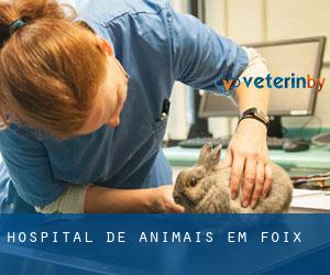 Hospital de animais em Foix