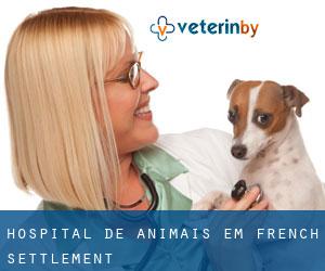 Hospital de animais em French Settlement