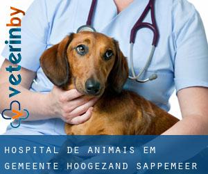 Hospital de animais em Gemeente Hoogezand-Sappemeer