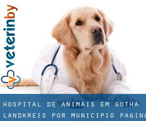 Hospital de animais em Gotha Landkreis por município - página 2