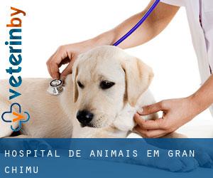 Hospital de animais em Gran Chimu