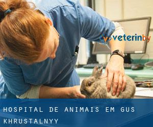 Hospital de animais em Gus'-Khrustal'nyy