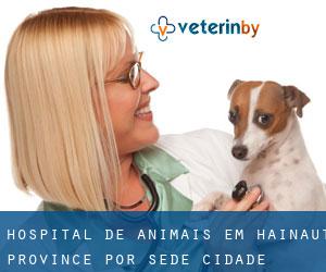 Hospital de animais em Hainaut Province por sede cidade - página 1