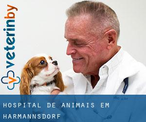 Hospital de animais em Harmannsdorf
