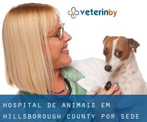 Hospital de animais em Hillsborough County por sede cidade - página 76