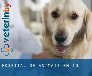 Hospital de animais em Ig