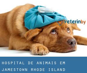 Hospital de animais em Jamestown (Rhode Island)