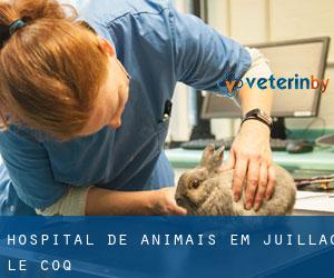 Hospital de animais em Juillac-le-Coq