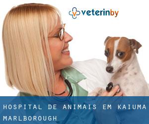 Hospital de animais em Kaiuma (Marlborough)