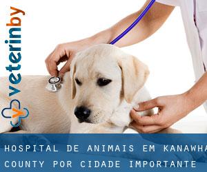 Hospital de animais em Kanawha County por cidade importante - página 1