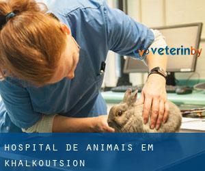Hospital de animais em Khalkoútsion