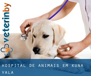 Hospital de animais em Kuna Yala