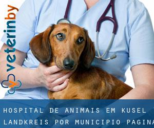 Hospital de animais em Kusel Landkreis por município - página 1