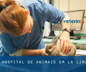 Hospital de animais em La Lima