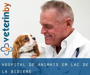 Hospital de animais em Lac-De La Bidière