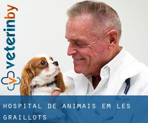 Hospital de animais em Les Graillots
