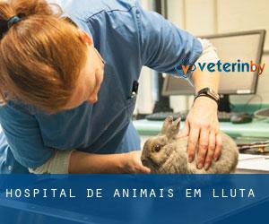 Hospital de animais em Lluta