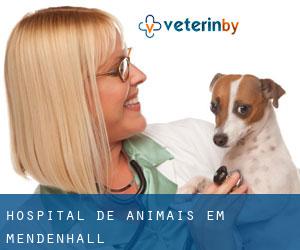 Hospital de animais em Mendenhall