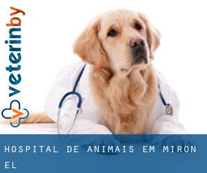 Hospital de animais em Mirón (El)