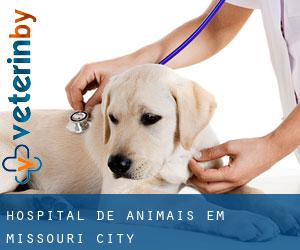 Hospital de animais em Missouri City