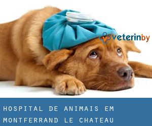 Hospital de animais em Montferrand-le-Château