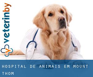 Hospital de animais em Mount Thom
