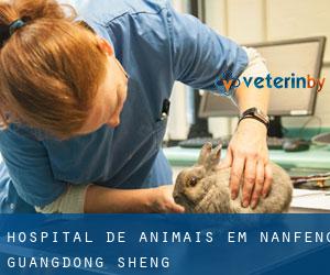 Hospital de animais em Nanfeng (Guangdong Sheng)