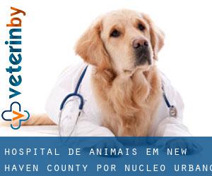 Hospital de animais em New Haven County por núcleo urbano - página 1
