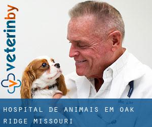 Hospital de animais em Oak Ridge (Missouri)
