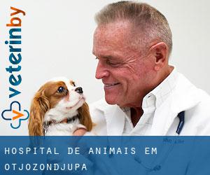 Hospital de animais em Otjozondjupa