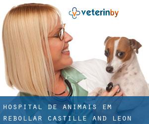 Hospital de animais em Rebollar (Castille and León)
