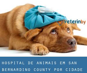 Hospital de animais em San Bernardino County por cidade importante - página 7