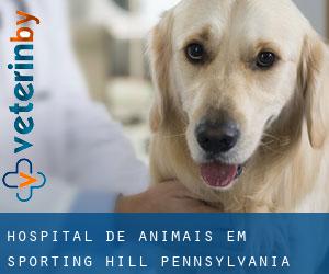Hospital de animais em Sporting Hill (Pennsylvania)