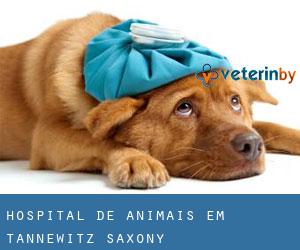 Hospital de animais em Tannewitz (Saxony)