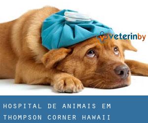 Hospital de animais em Thompson Corner (Hawaii)