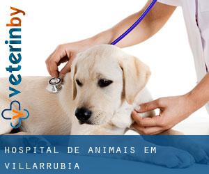 Hospital de animais em Villarrubia