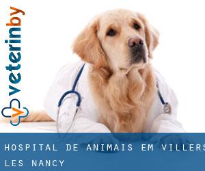 Hospital de animais em Villers-lès-Nancy