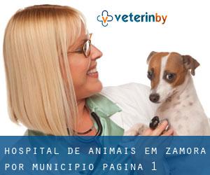 Hospital de animais em Zamora por município - página 1