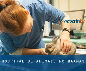 Hospital de animais no Baamas