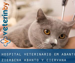 Hospital veterinário em Abanto Zierbena / Abanto y Ciérvana