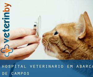 Hospital veterinário em Abarca de Campos