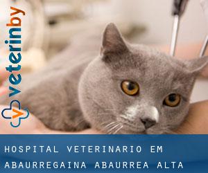 Hospital veterinário em Abaurregaina / Abaurrea Alta