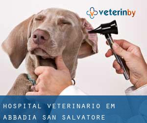 Hospital veterinário em Abbadia San Salvatore