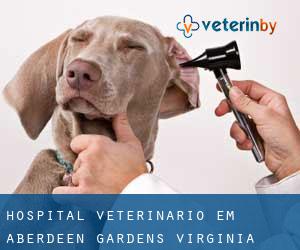 Hospital veterinário em Aberdeen Gardens (Virginia)