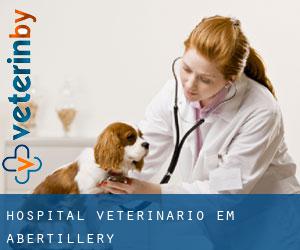 Hospital veterinário em Abertillery