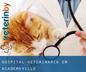 Hospital veterinário em Academyville