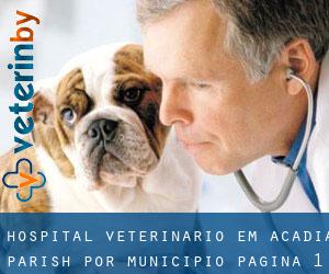 Hospital veterinário em Acadia Parish por município - página 1