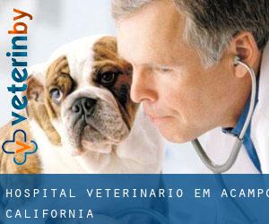 Hospital veterinário em Acampo (California)