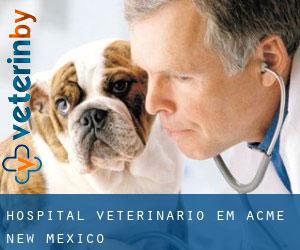 Hospital veterinário em Acme (New Mexico)